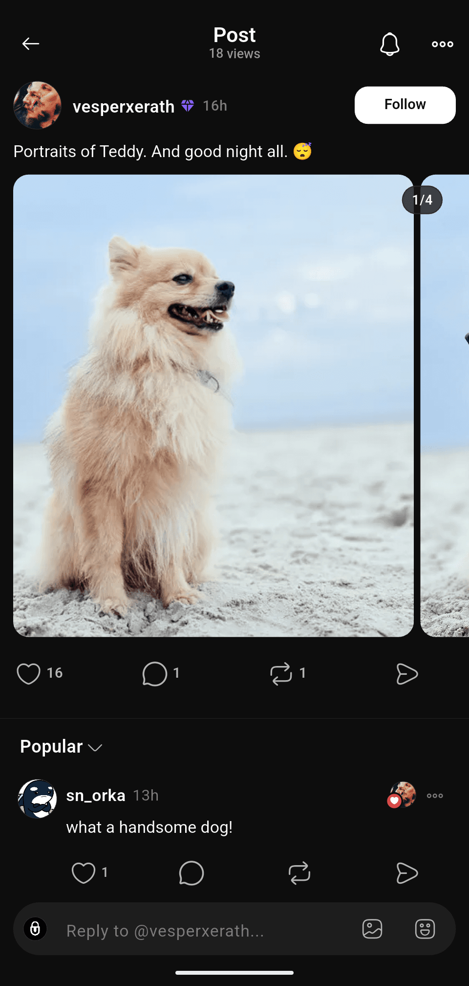UNET post showing a photo, replies and social interactions